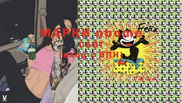 стафф Семилуки